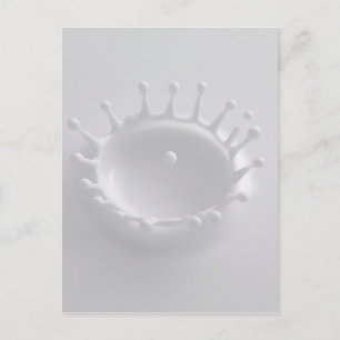 Splash of Milk Postcard