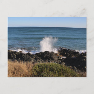 Splash! Postcard