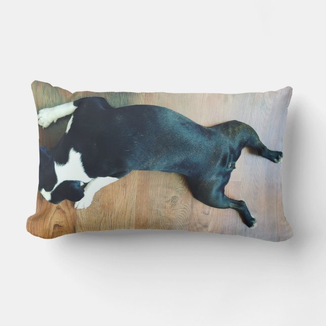 Splat Boston Terrier Lumbar Pillow (Front)