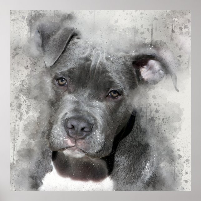 Splatter Effect Watercolor Painting Pit Bull Dog Poster (Front)
