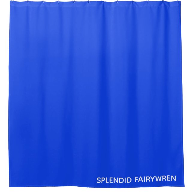 Splendid Fairywren Blue Color Name (Front)