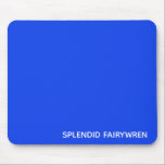 Splendid Fairywren Blue Color Name Mouse Pad<br><div class="desc">The Splendid Fairywren is a small Australian bird with bright blue plumage.</div>