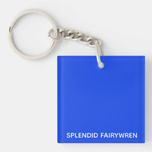 Splendid Fairywren Blue Colour Name Keychain