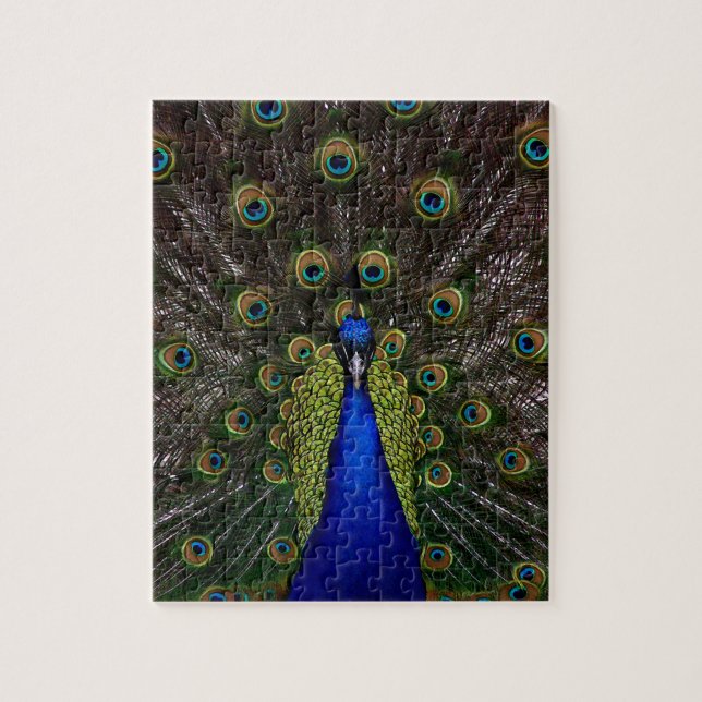 Splendid Peacock Jigsaw Puzzle (Vertical)