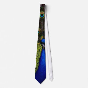 Splendid Peacock Tie