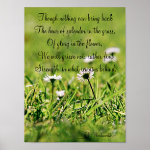 Splendor In The Grass poster