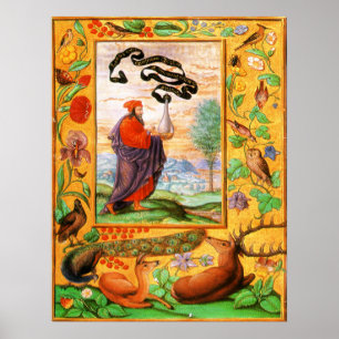 Splendour Solis: Philosopher with Flask Poster