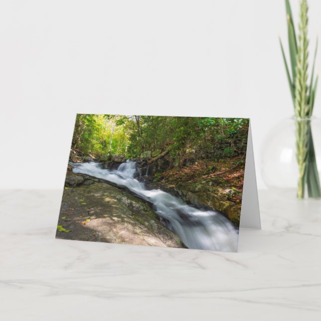 Split Falls on Sand Spring Run Card (Front)