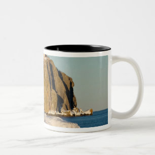 Split Rock Lighthouse State Park on Lake Two-Tone Coffee Mug