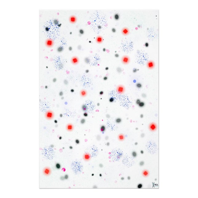 SPLOTCH PHOTO PRINT (Front)