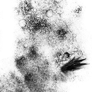 Splotches Wood Art Stamp