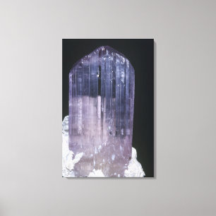 Spodumene Crystal Canvas Print