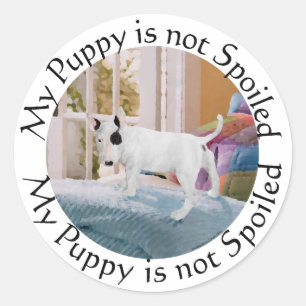 Spoiled? Bull Terrier Puppy . . . Not Classic Round Sticker