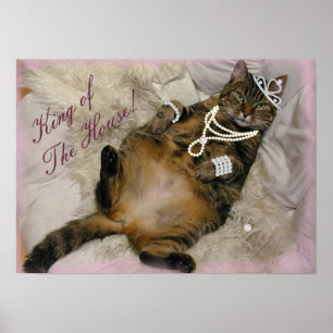 SPOILED PRINCESS CAT LAYING ON BACK POSTER