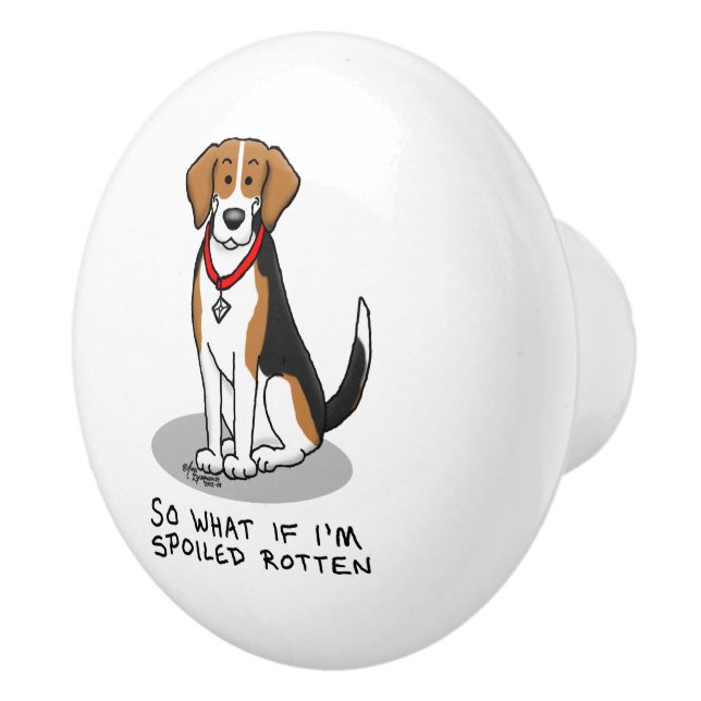Spoiled Rotten Beagle (tri colour 3) Dog Funny Ceramic Knob (Right)