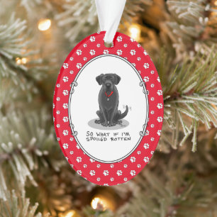 Spoiled Rotten Black Lab Labrador Retriever Dog Ornament