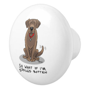 Spoiled Rotten Chocolate Lab Labrador Retriever Ceramic Knob