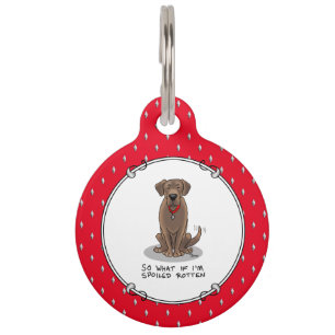 Spoiled Rotten Chocolate Lab Labrador Retriever Pet Tag
