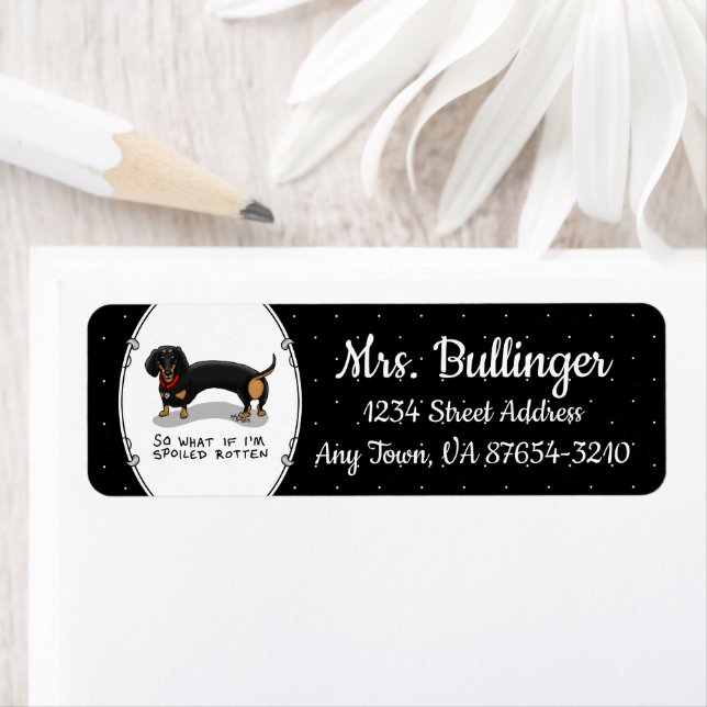 Spoiled Rotten Dachshund (S black & tan) Cute dog (Insitu)