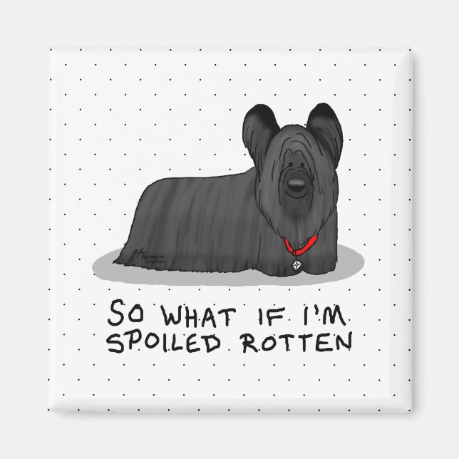 Spoiled Rotten Skye Terrier Dog (black) Cute Funny Magnet (Front)