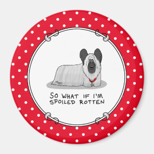 Spoiled Rotten Skye Terrier Dog (silver) Cute Fun Magnet