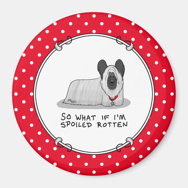 Spoiled Rotten Skye Terrier Dog (silver) Cute Fun Magnet (Front)