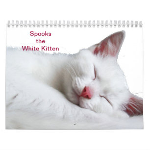 SPOOKS THE WHITE KITTEN - CALLENDER CALENDAR