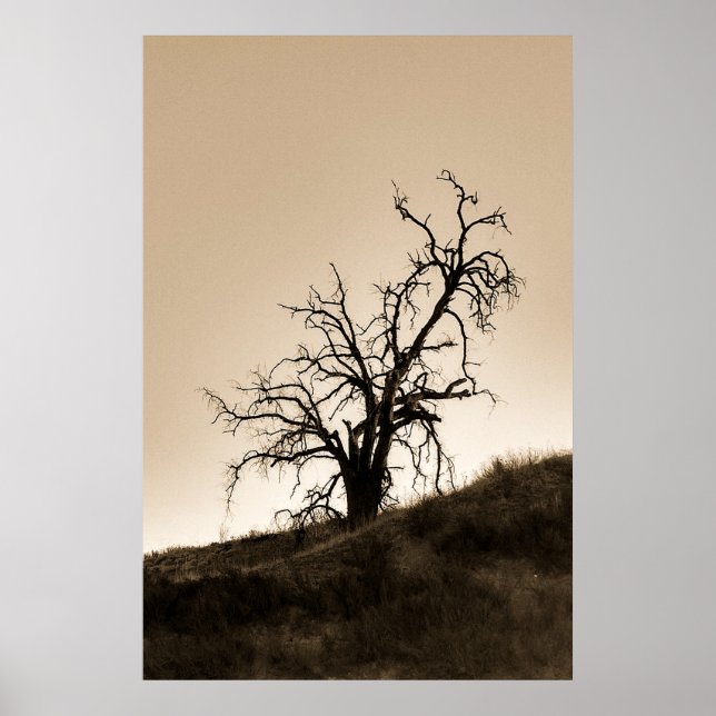 Spooky Autumn Oak Tree Poster (Front)