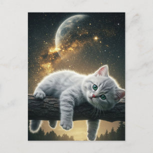 Spooky Black Cat Halloween Wallpaper — 2025 Night! Holiday Postcard