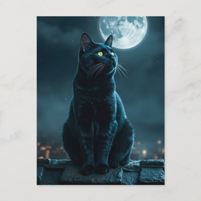 Spooky Black Cat Halloween Wallpaper — 2025 Night! Holiday Postcard (Front)