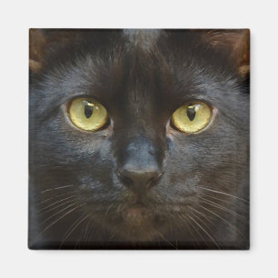 Spooky black cat magnet