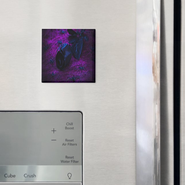 Spooky Black Material Rose, Black Spiders Magnet (In Situ (Fridge))