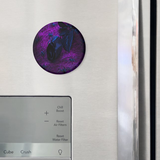Spooky Black Material Rose, Black Spiders Magnet (In Situ (Fridge))