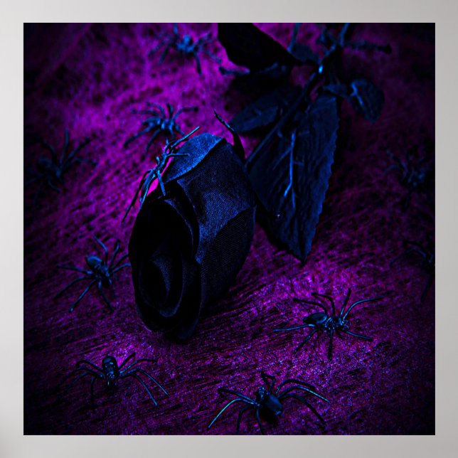 Spooky Black Material Rose, Black Spiders Poster (Front)