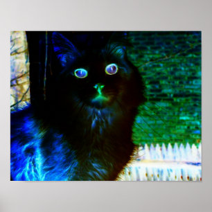 Spooky Cat Poster