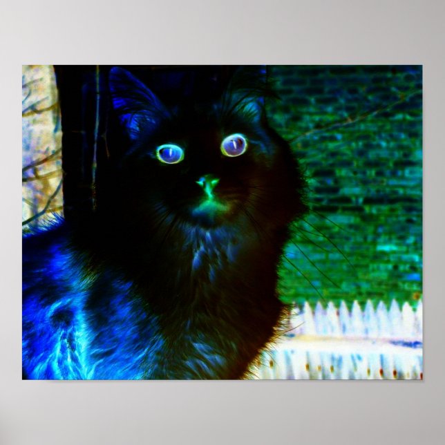 Spooky Cat Poster (Front)