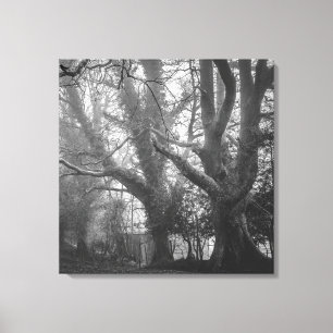 Spooky Forest Black and White Photography Canvas Print