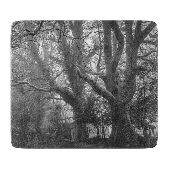 Spooky Forest Black and White Photography Cutting Board (Front)