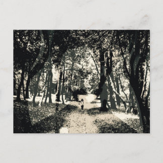 Spooky ghost in the woods image postcard