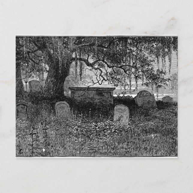 Spooky Halloween Graveyard Postcard (Front)