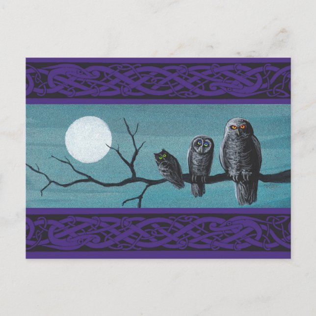 Spooky Halloween Owls Postcard (Front)