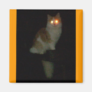 spooky kitty magnet