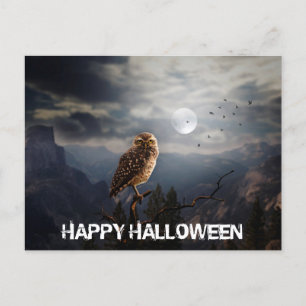 Spooky Owl and Full Moon Halloween  Postcard