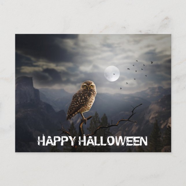 Spooky Owl and Full Moon Halloween  Postcard (Front)