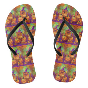 Spooky Pomeranian Dog Halloween Witch And Pumpkin Flip Flops