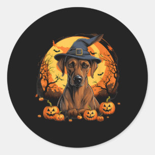 Spooky Rhodesian Ridgeback Dog Witch Halloween Classic Round Sticker