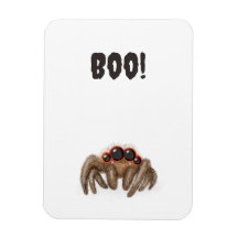 Spooky spider 'Boo!' Halloween magnet