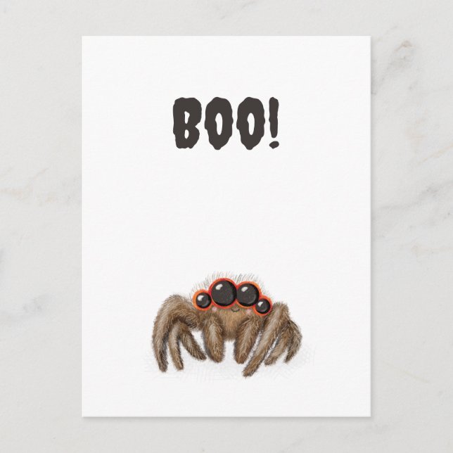 Spooky spider 'Boo!' Halloween postcard (Front)