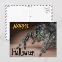 Spooky Spider Halloween Greeting