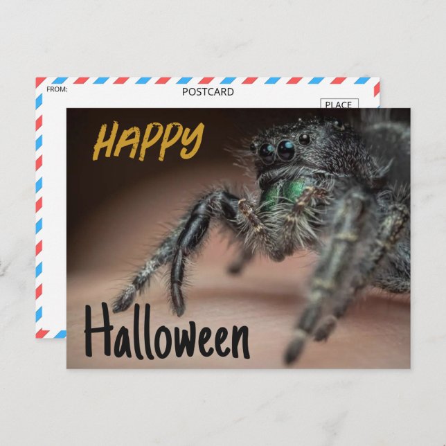 Spooky Spider Halloween Greeting Postcard (Front/Back)